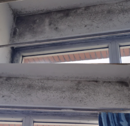 8ef4ef0cf6b4a4d80cea184aacccebf9.png 8ef4ef0cf6b4a4d80cea184aacccebf9.png