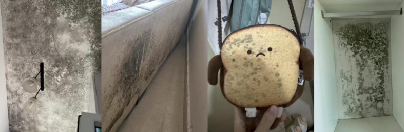 64c098a7375e802264215a6d96981e01.png 64c098a7375e802264215a6d96981e01.png